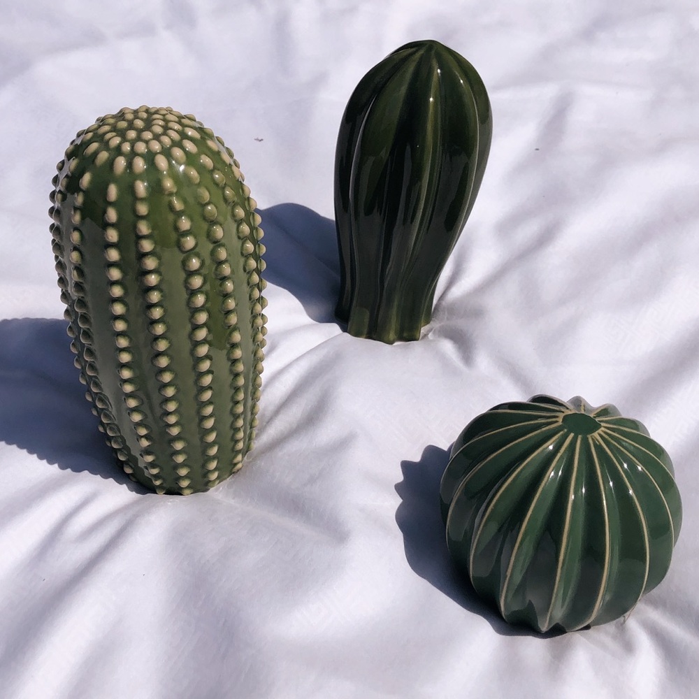 Porcelain Cacti decoration